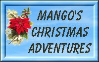 Mango's Snow Adventure